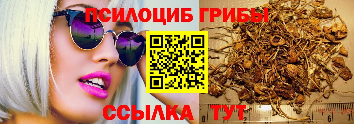 купить наркотики цена  Псилоцибиновые грибы GOLDEN TEACHER  Фролово  Вход с VPN  Галлюциногенные грибы ЛСД 