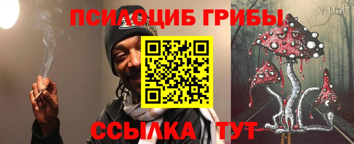 Псилоцибиновые грибы Psilocybine cubensis Фролово